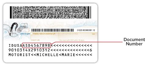 document number on enhanced license ny|Enhanced & REAL ID in New York: What to Know .